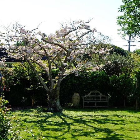 Garden Retreat Apartment Otaki Exterior foto